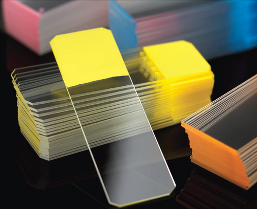 White Frosted Microscope Slides, White Glass, Beveled Edges & Clipped Corners