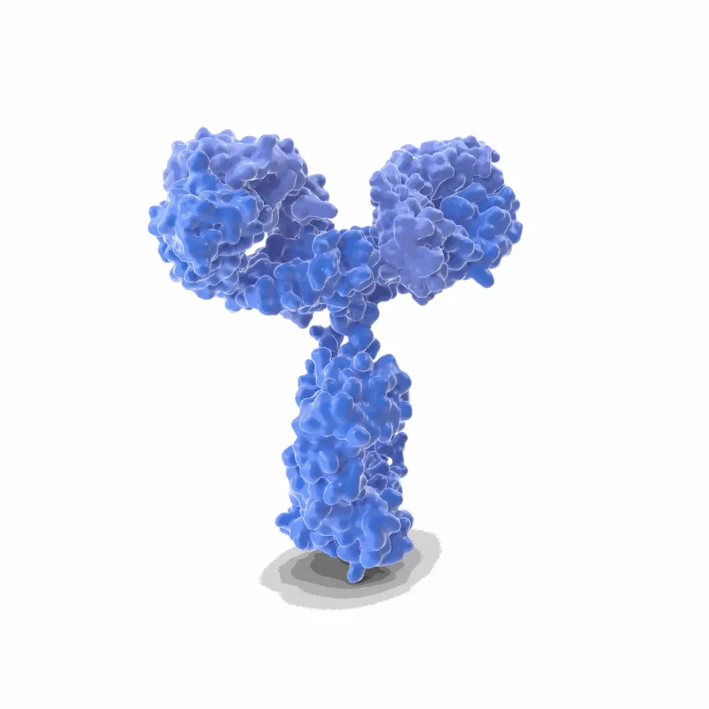 Gentaur PabF6 (CCI-103F) Monoclonal Antibody